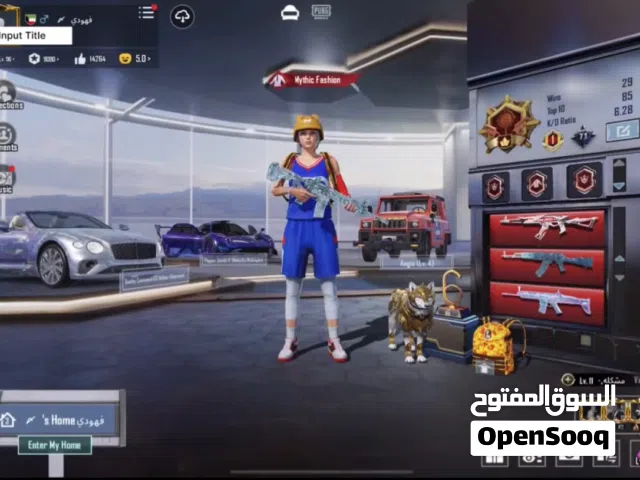 Pubg Accounts and Characters for Sale in Hail