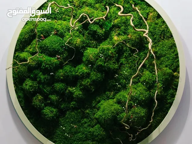 Moss walls for houses and office + Gallery 1 art work