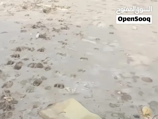 قطعه ارض زراعي توزيع جمعيه