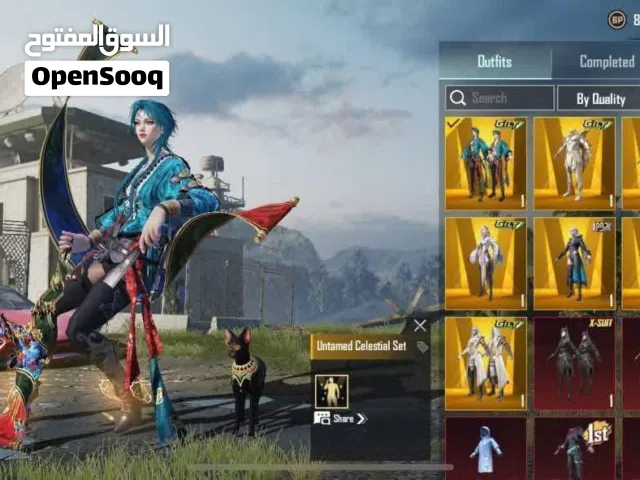 Pubg Accounts and Characters for Sale in Al Qubah