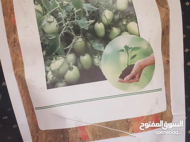 شركة عبدالسلام ربيع للتجاره والاستيراد و الخدمات الزراعيه بذور /الاسمده/معدات/مرشات/مبيدات