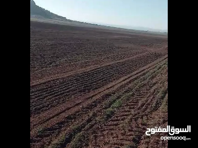 Farm Land for Sale in Zaghouan Other