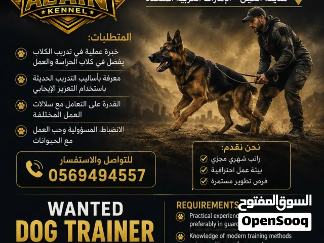 مطلوب مدرب كلاب براتب شهري