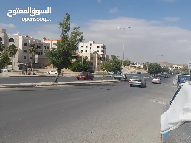 Commercial Land for Sale in Amman Shafa Badran