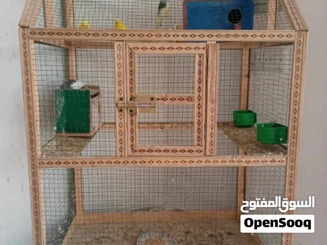 طيور حب الوان مختلفة العددثلاث ازواج سبع طيور
