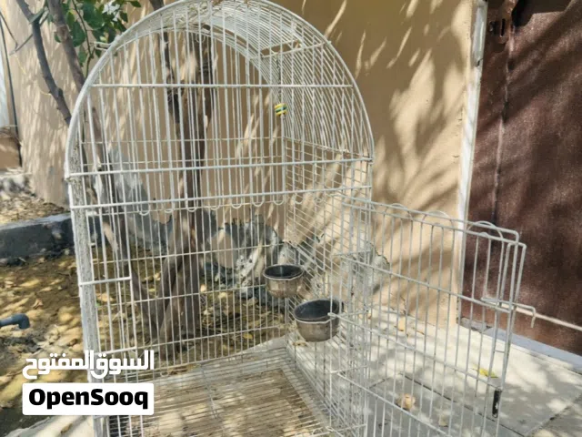 للبيع قفص 18