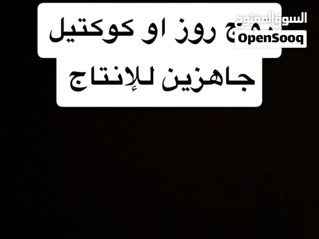 مطلوب زوج روز او كوكتيل