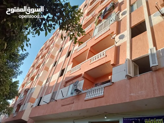 80 m2 2 Bedrooms Apartments for Rent in Alexandria Agami