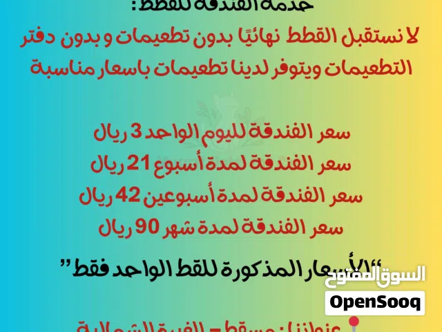 فندق مسقط للقطط... ذكور للتزاوج .. فندقة للقطط... قطط للبيع صغيرة وكبيرة ...