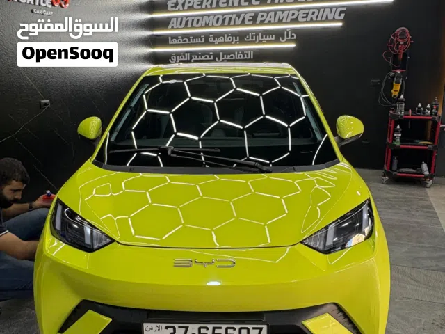 2023 بي واي دي سيجول