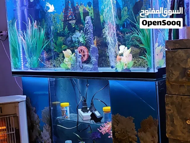 حوض متر العرض مع الطاوله عمقه 35 ارتفاع الزجاج الامامي 55 حوض مرتب وكبير الزجاج تبعه خميل جدا