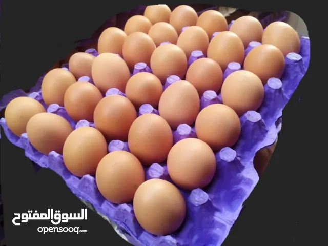 بيض بلدي طازج بدل 30_35 الكمية 30 بيضة