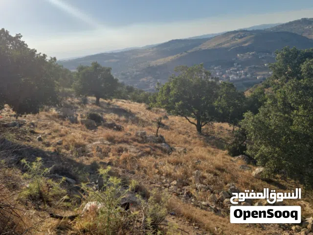Residential Land for Sale in Amman Abu Al-Sous