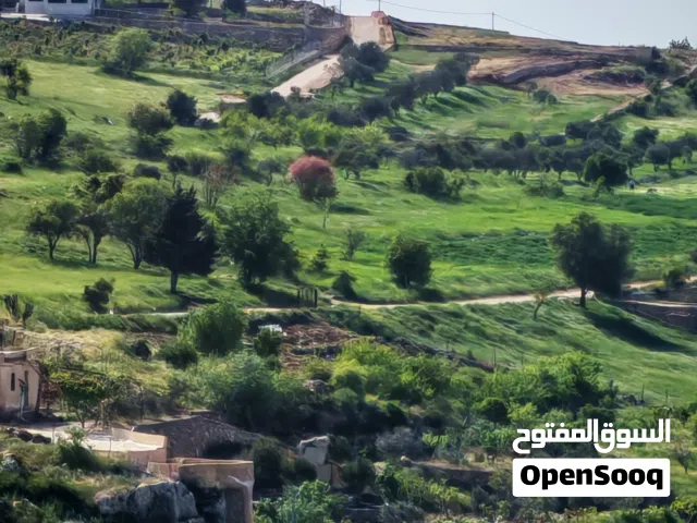 Mixed Use Land for Sale in Ajloun Other