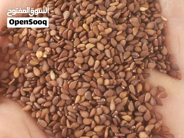 منتجات يمنيه جاهزه للتصدير