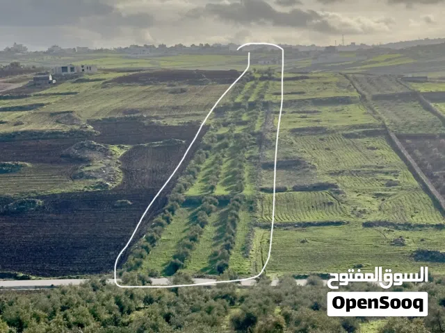 Residential Land for Sale in Irbid Ham