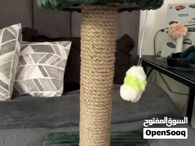 عامود خدش للقطط