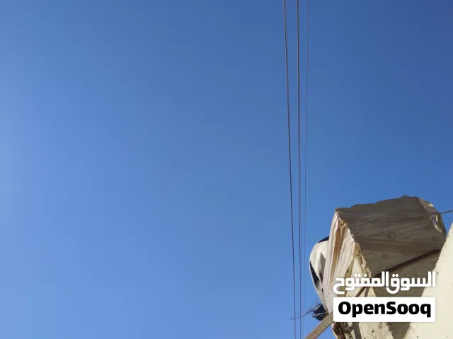 فراخ شحرور