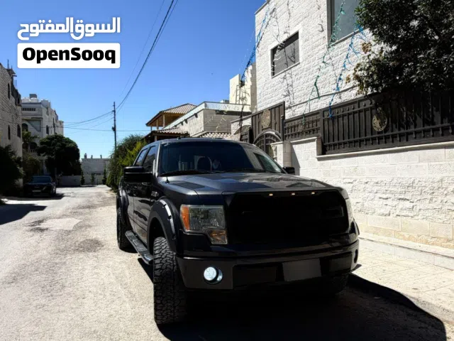 2010 Ford F-150 Limited
