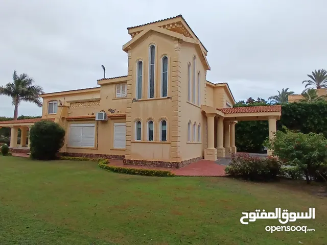 5000 m2 5 Bedrooms Villa for Sale in Alexandria Amreya