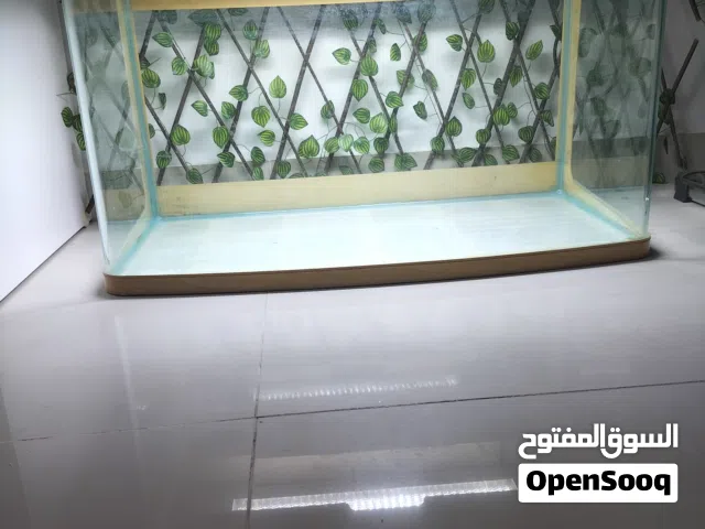 حوض سمك للبيع فقط