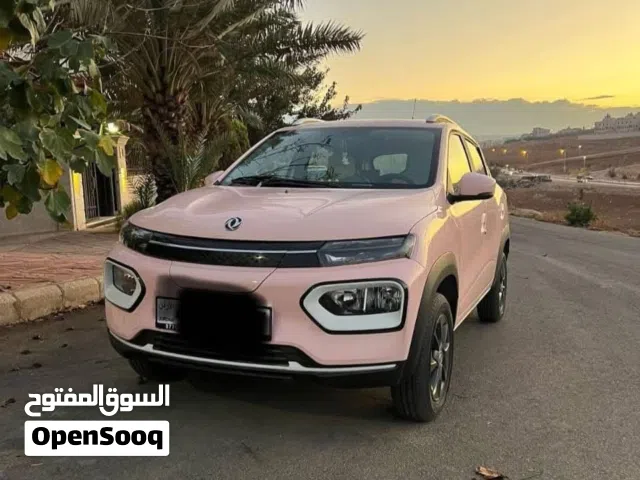 2023, دونج فينج, EX1