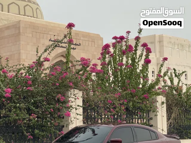 دودج تشارج v8 2018