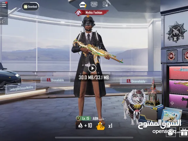 Pubg Accounts and Characters for Sale in Amman