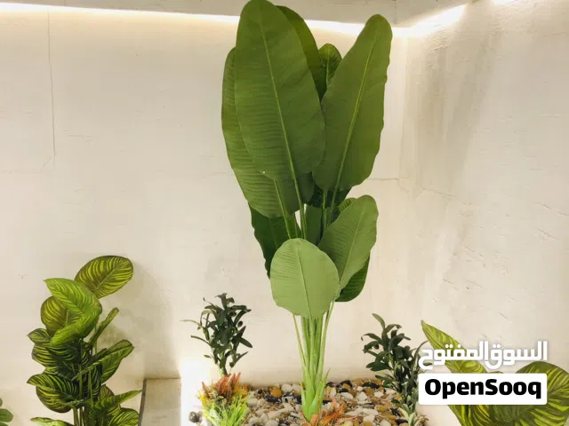 أحواض تركيب صناعي شجرات تركيب حجر ديكورات صناعي عشب صناعي جداري خشب جداري ديكورات