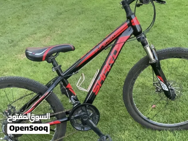 Mountain bike used for small time