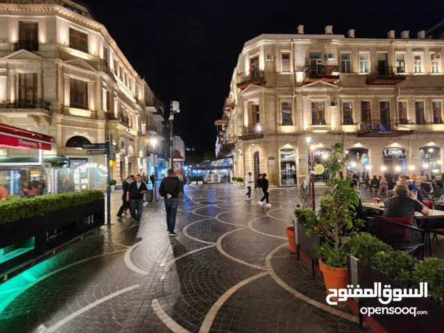 مطلوب قط سيامي