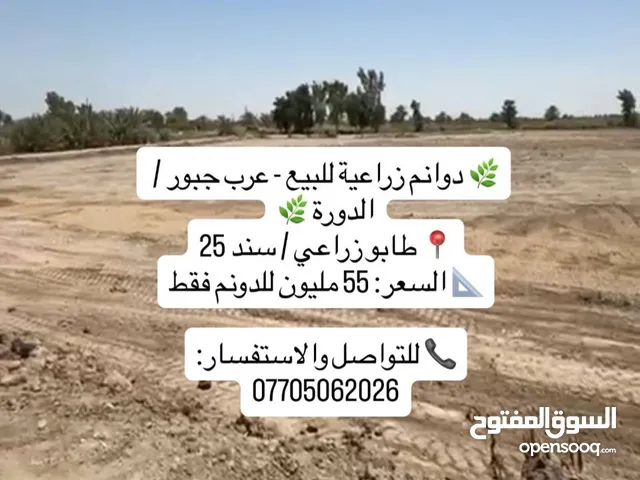 دوانم طابو زراعي سند 25