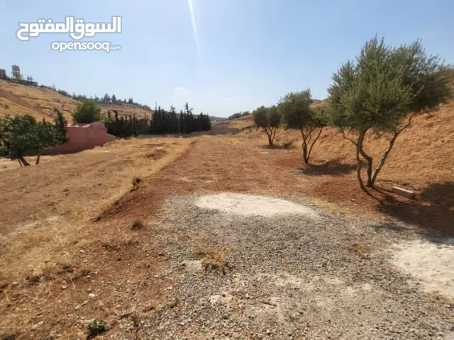 أرض للبيع في جديدة الوادي