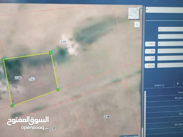 ارض للايجار عند مثلث ضبعة مساحتها دونم تبعد عند شارع المطار 1كيلو
