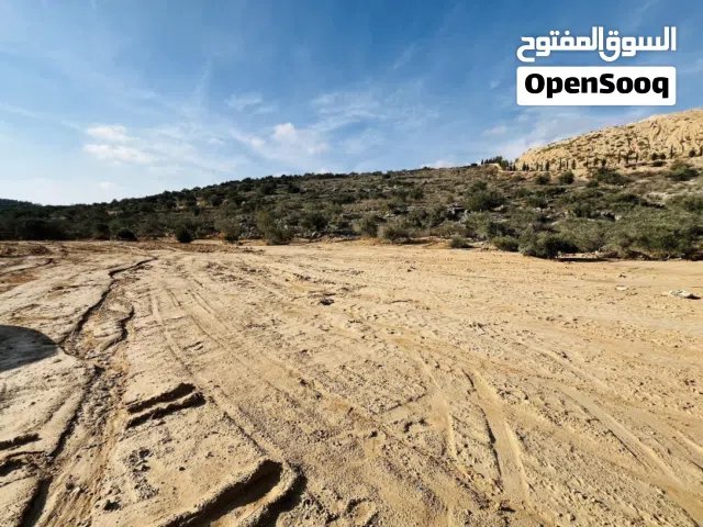ارض للبيع مساحتها 17