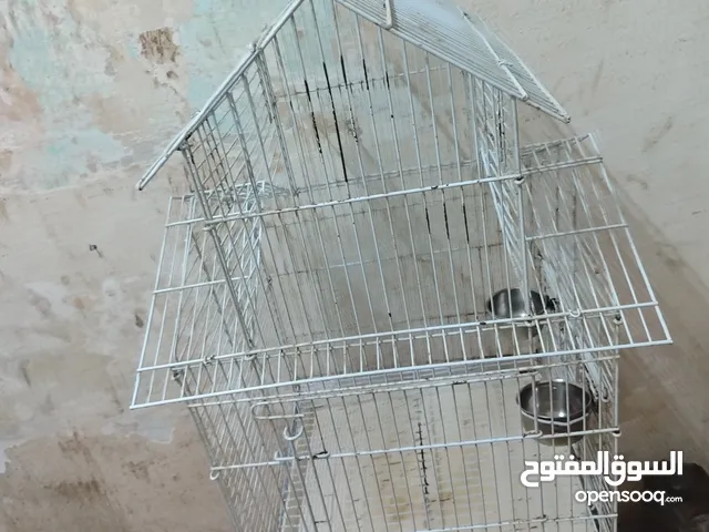 قفص لجميع الببغاء