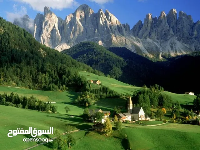 كرم الشرمان