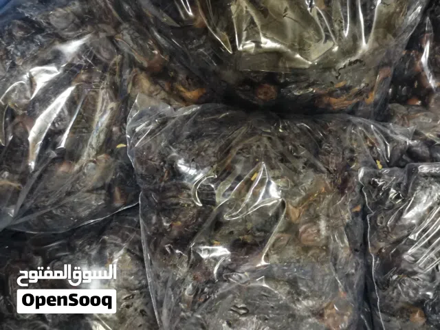 تمر نغال و قش طبق و زبد و خنيزي و خصاب و خلاص للبيع