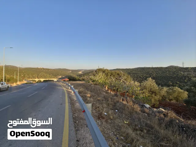 Farm Land for Sale in Ajloun Other