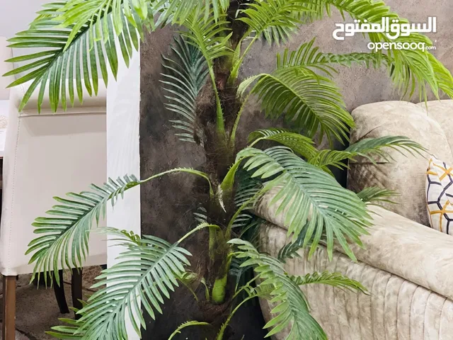 شجره زينه كبيره