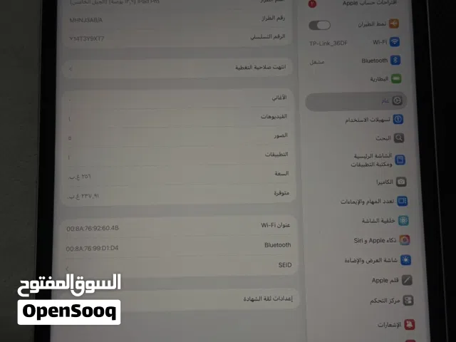Apple iPad 5 256 GB in Muscat