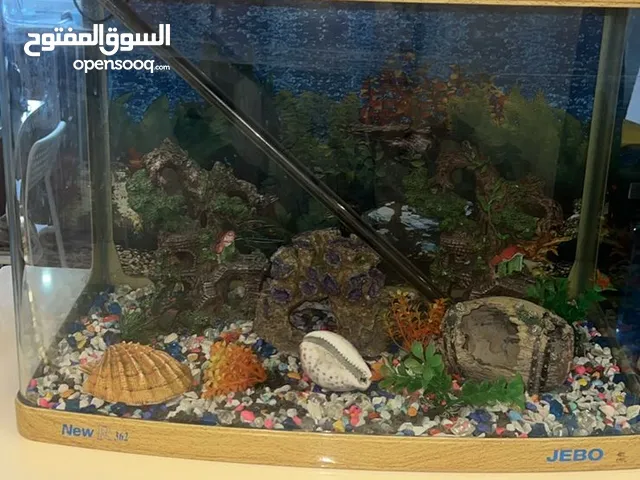 حوض سمك زجاجي