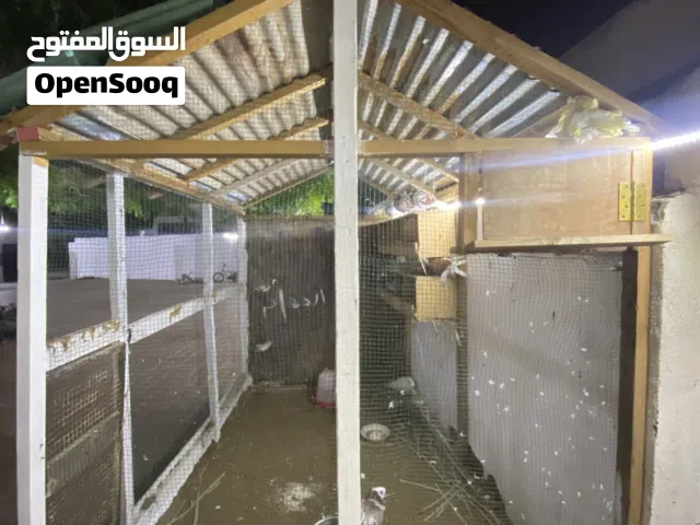 أقفاص للبيع اقرأ الوصف