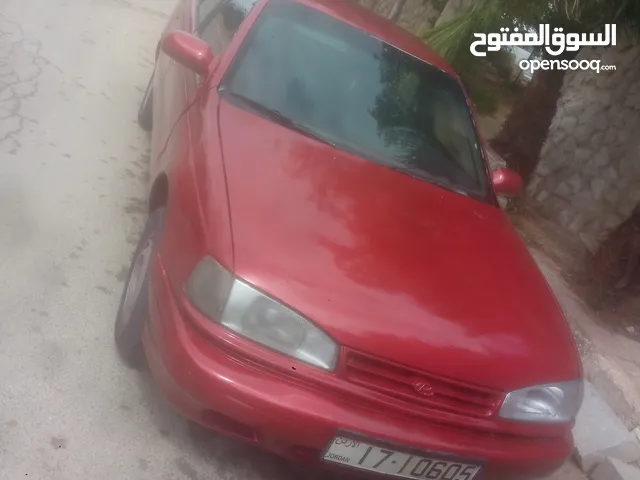 Used Hyundai Elantra in Amman