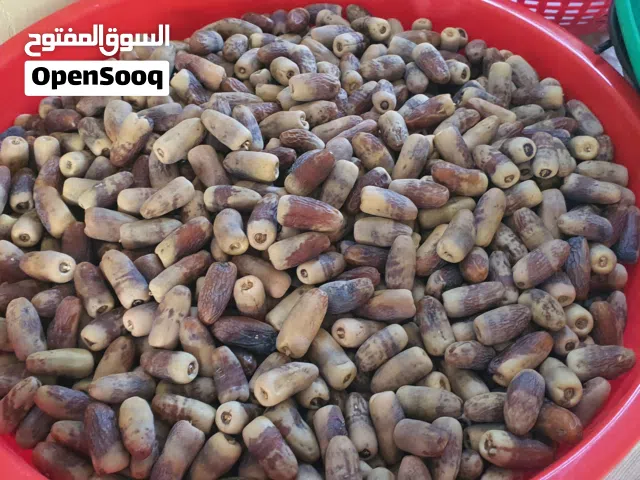 تمر نغال جريجرو
