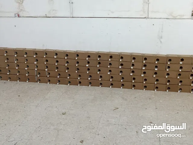 كواخ للبيع جديد بسعر مغري