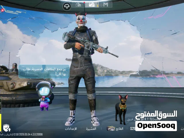 Pubg Accounts and Characters for Sale in Bani Walid