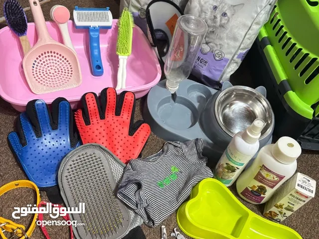 مستلزمات القطط كل الأغراض الي بتحتاجها لقطتك، موجودة وبسعر ممتاز