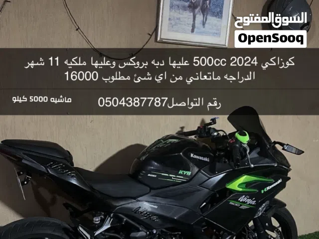 2024 Kawasaki Other