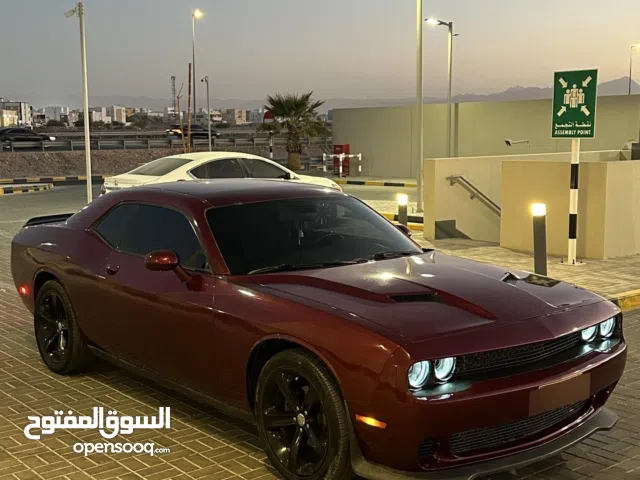 Used Dodge Challenger in Muscat